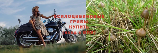 apvp Корсаков