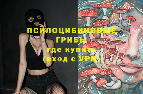 apvp Корсаков