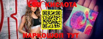 гашик Краснодар