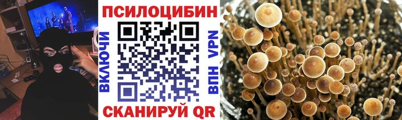 Псилоцибиновые грибы MAGIC MUSHROOMS  Самара 